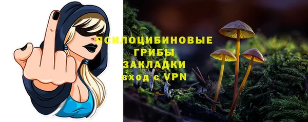 мдпв Арсеньев