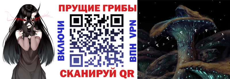 Галлюциногенные грибы Psilocybe  где продают наркотики  KRAKEN вход  Рыбинск 